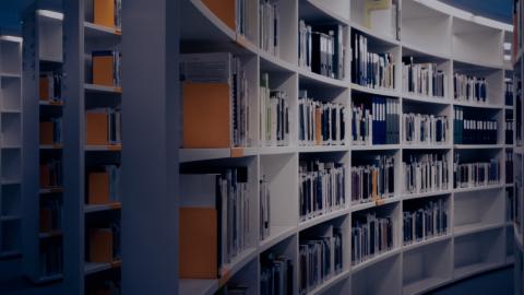 Bookshelves with books