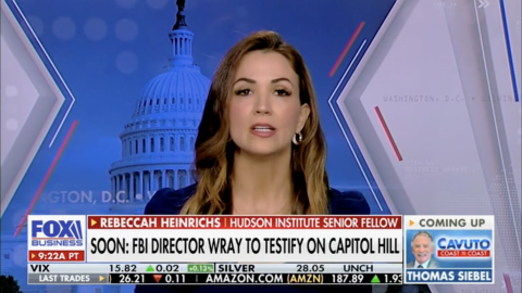 (Screenshot via Fox Business)